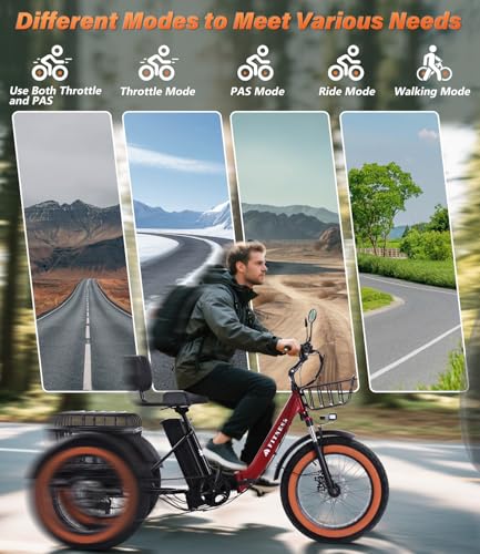 Electric Tricycle 3 Wheel Bike for Adults a7