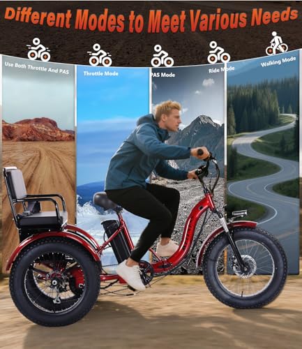 Electric Tricycle 3 Wheel Bike for Adults a7