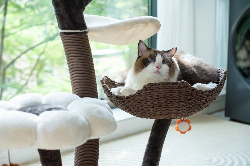 Catry 59" Natural Blossom Cat Tree 6-Level Cat Tower with Hammock T18613
