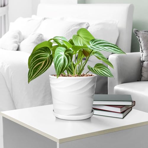 Ceramic Plant Pot with Drainage Saucer 8 Inch Indoor Planter k7