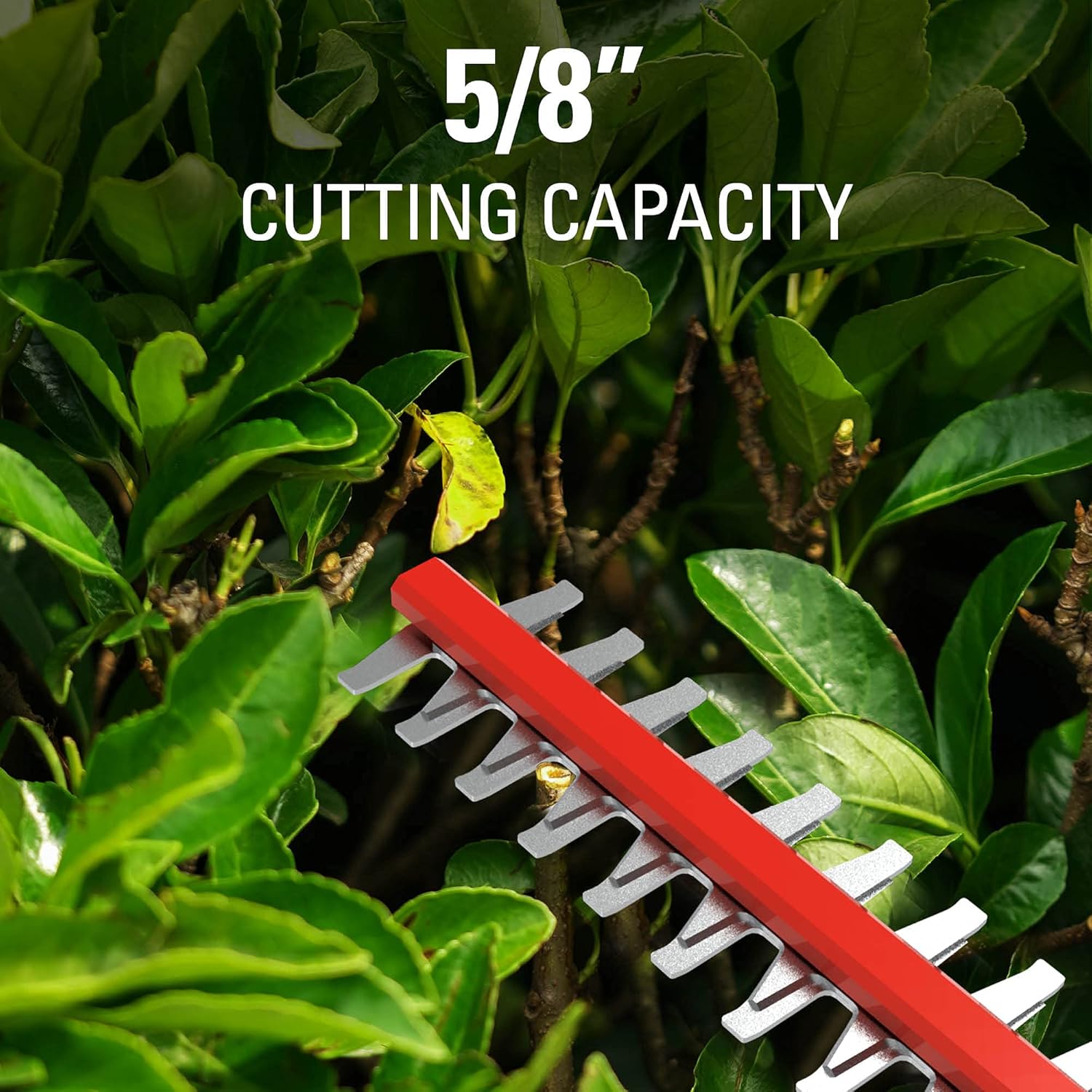 Cordless Pole Hedge Trimmer with Battery and Charger k7