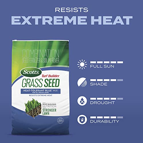Heat-Tolerant Blue Mix Tall Fescue Lawn Seed with Fertilizer7k