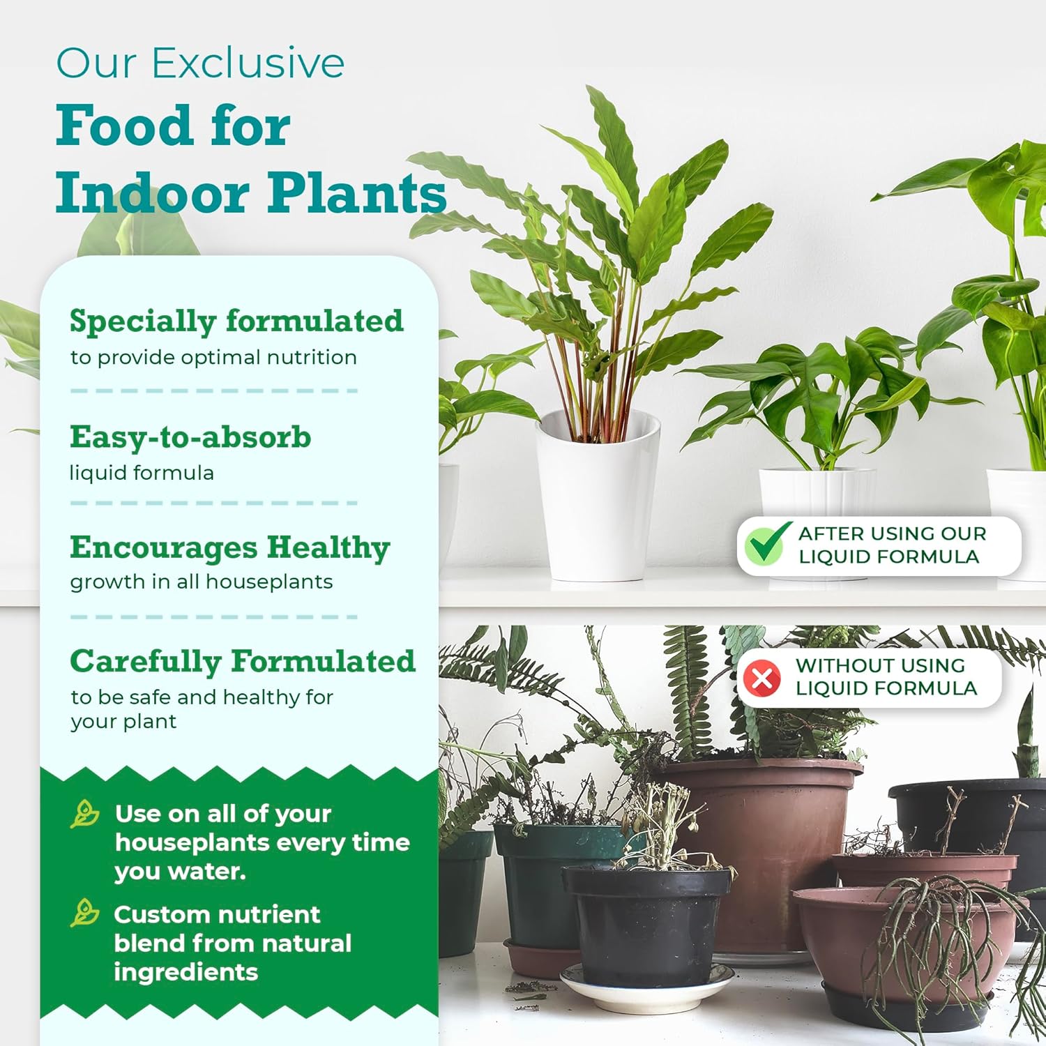 Indoor Plant Food Organic Liquid Fertilizer for Pothos Peace Lily Monstera Cactus 8 oz k7