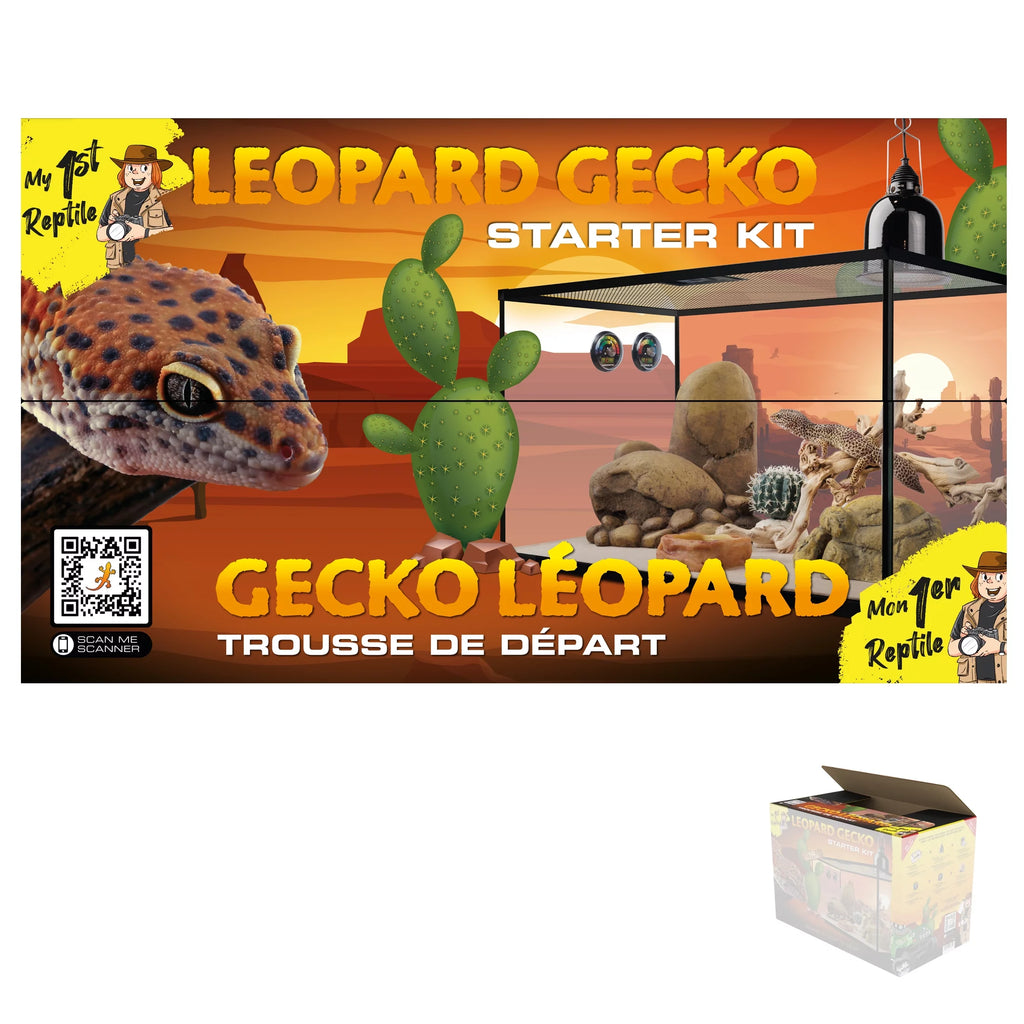 Leopard Gecko Reptile Starter Kit a7