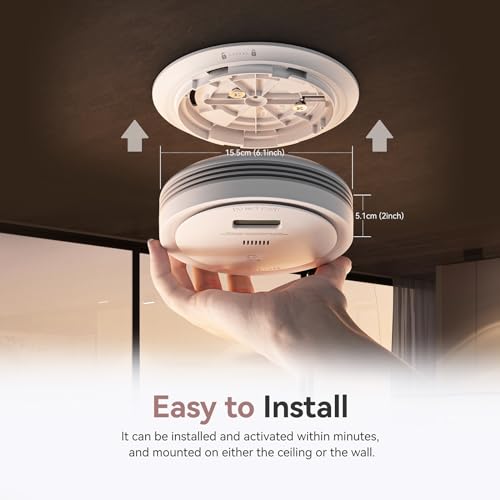 Smoke & Carbon Monoxide Detector Combo, 10-Year Battery, LCD Display, 1 Pack U630