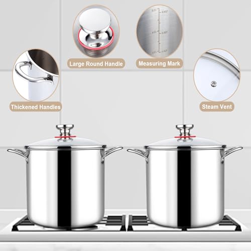 LIANYU 10 Quart Stock Pot with Lid, Stainless Steel Tri-Ply D8155