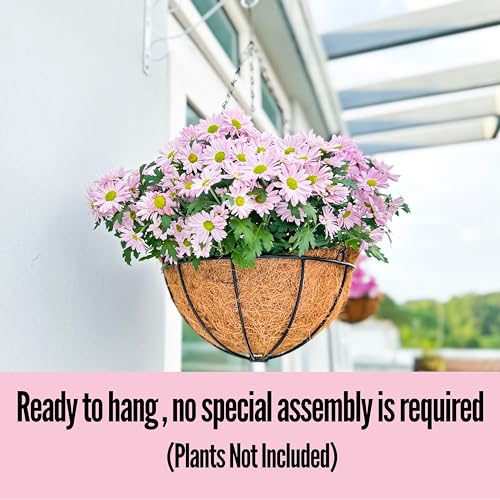 Hanging Planters with Coco Liner 3 Pack 10 Inch Outdoor Metal Wire Basket a7