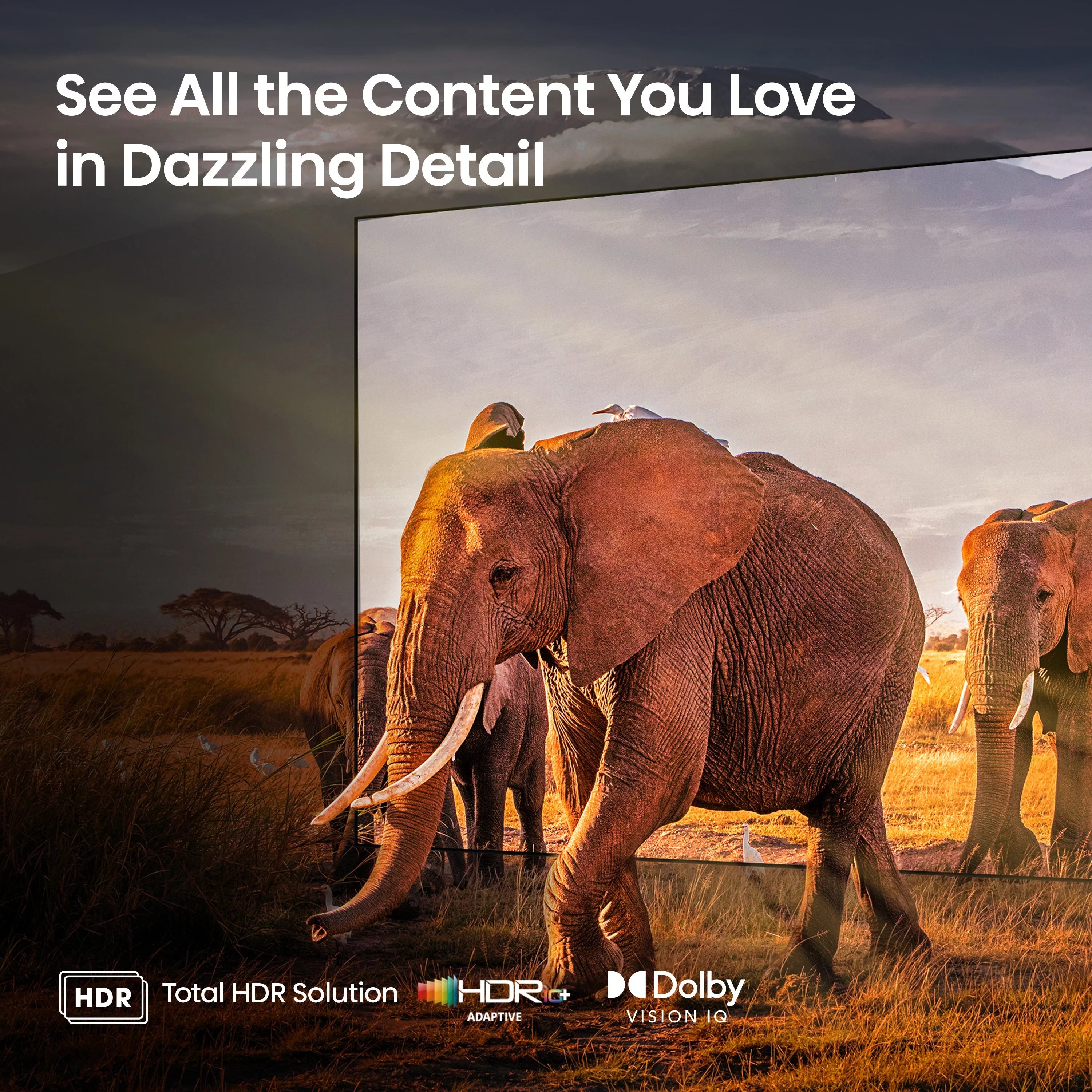 55-Inch Mini-LED QLED Smart TV with Dolby Vision Atmos a7