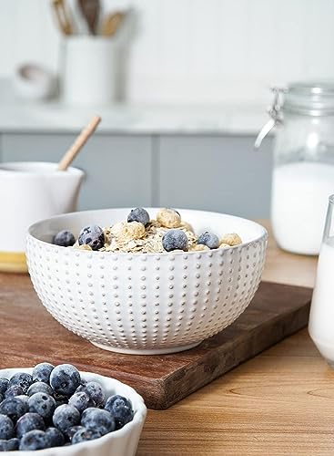 LE TAUCI Dinnerware Sets 12 PCS Ceramic Plates and Bowls Set Arctic White T125