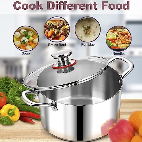 LIANYU 12QT 18/10 Stainless Steel Stock Pot with Lid V7290