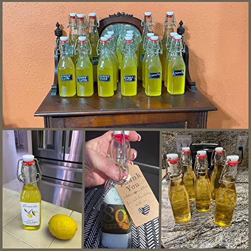 WILLDAN 8.5oz Swing Top Glass Bottles with Airtight Caps, Bonus Gaskets and Funnel F780