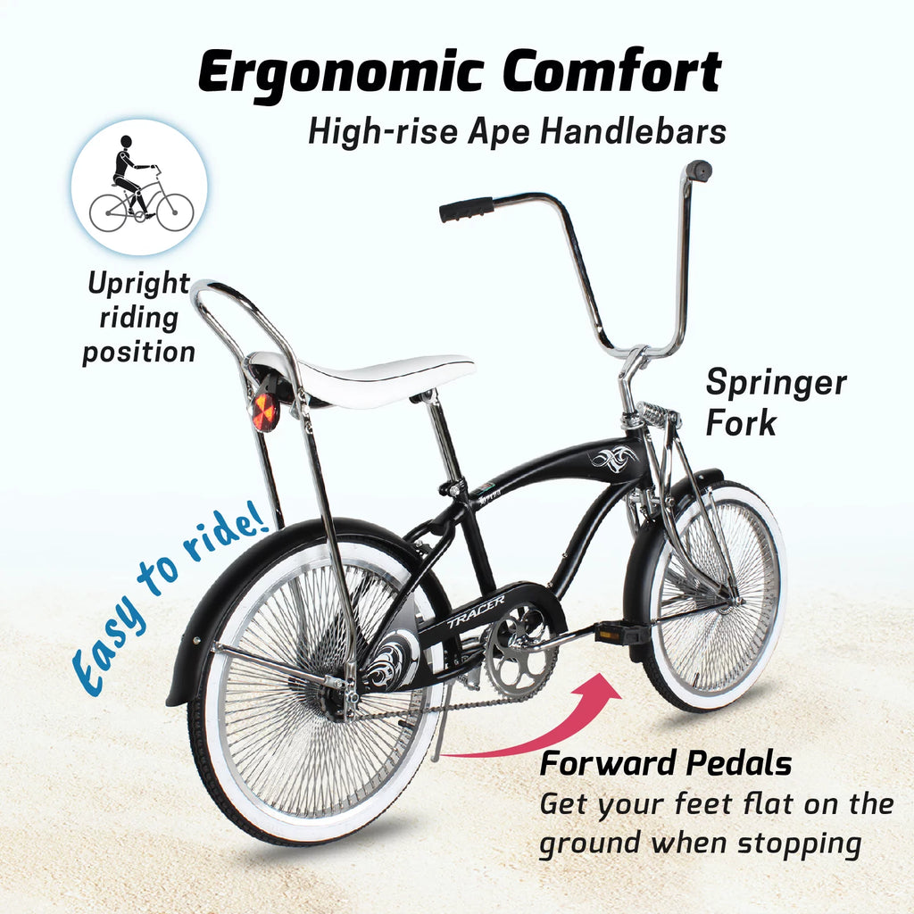 Beach Cruiser Bike 20 Inch Fat Tire Retro a7