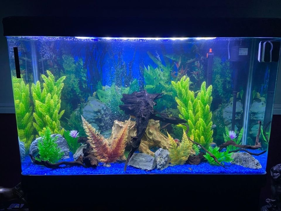 Aquarium 4ft 300L Tropical Saltwater Freshwater k7