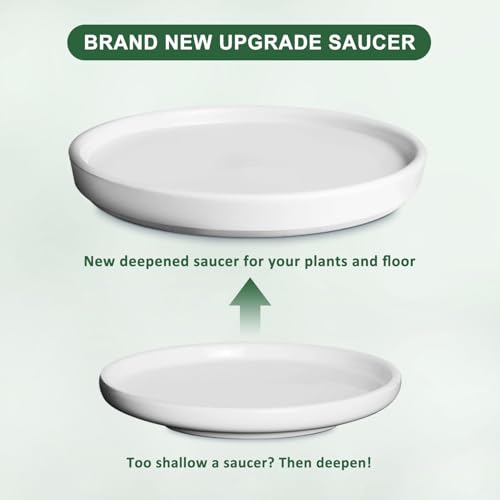 Ceramic Plant Pot with Drainage Saucer 8 Inch Indoor Planter k7