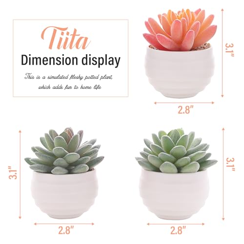 Tiita Artificial Succulents in Ceramic Pots for Desk Home Office Decor E105770