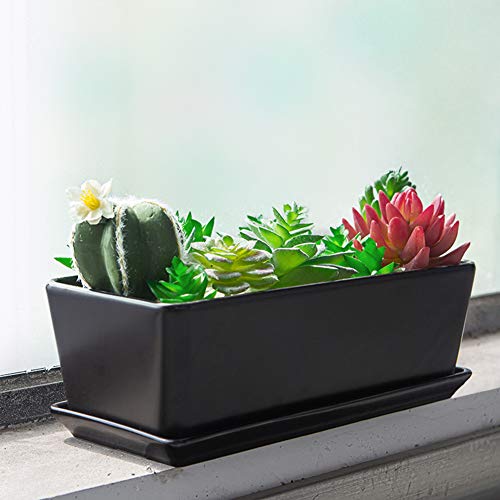 White Ceramic Succulent Planter with Saucer k7m