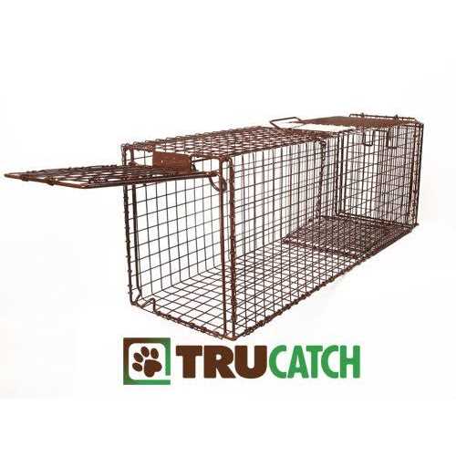Humane Live Animal Trap for Cats Easy Release k7p