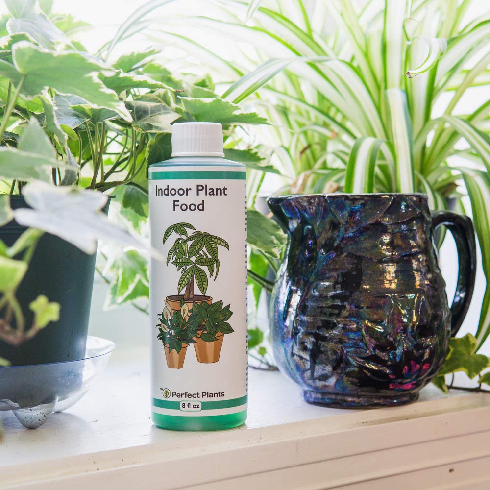 Indoor Plant Food Concentrated Fertilizer 8oz a7
