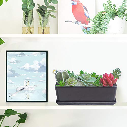 White Ceramic Succulent Planter with Saucer k7m