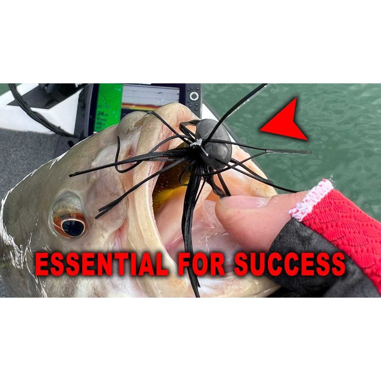 Spinning Reel Sports Supplies a7k