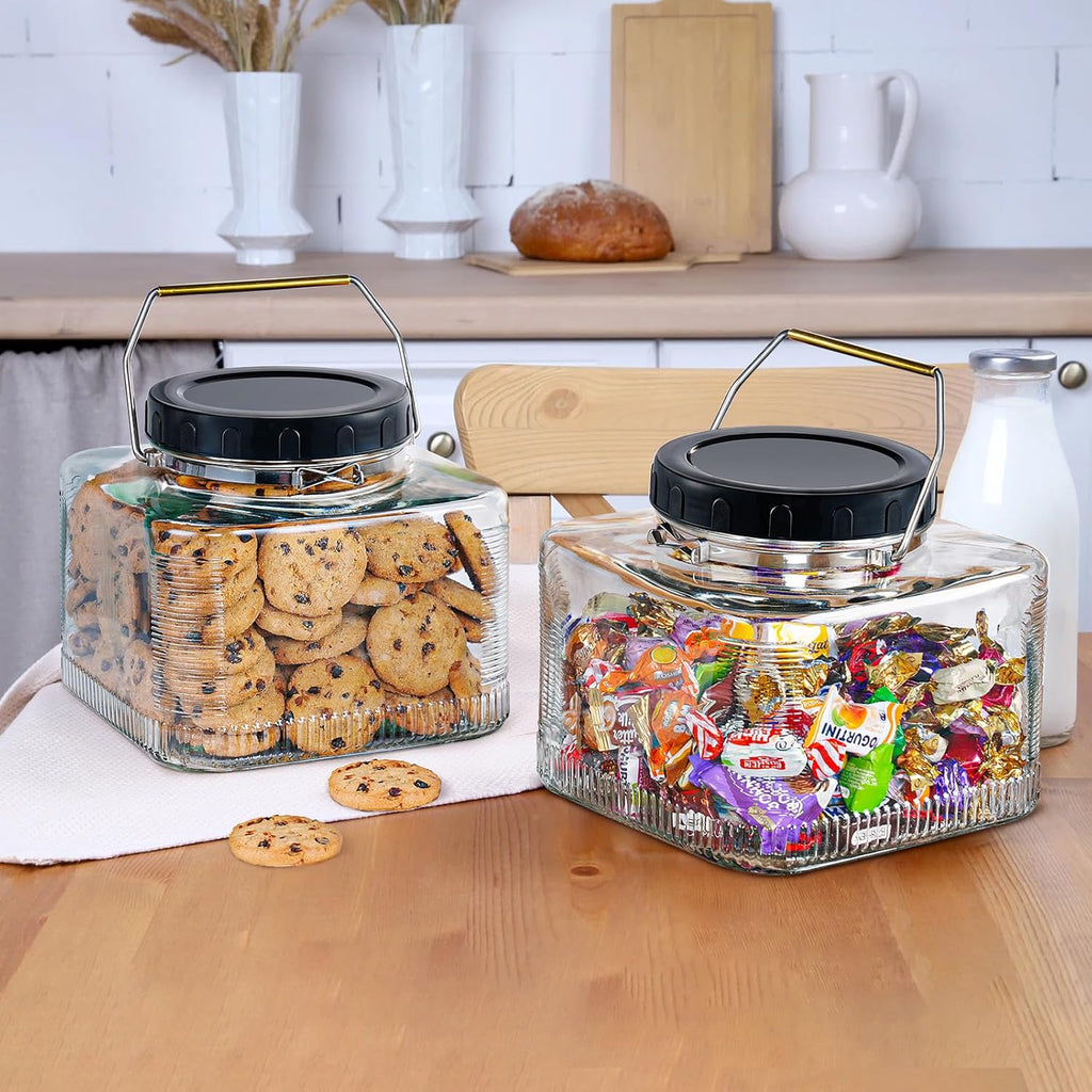 2 Pack 1 Gallon Glass Jar with Screw Lids and Stainless Steel Handle S424191