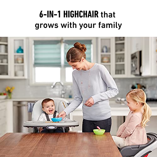 Graco Blossom 6-in-1 Convertible High Chair, Redmond B309