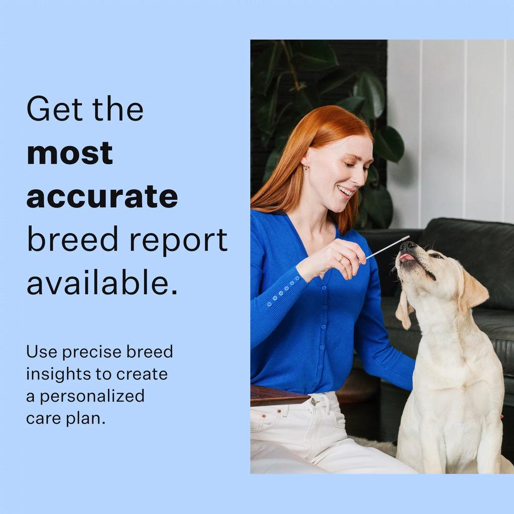 Dog DNA Test Kit for Breed Discovery k7