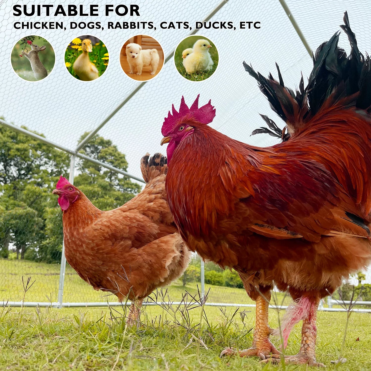 Large Chicken Run Coop 10x26ft Metal Hen House Walk-in Poultry Cage W/ Cover k7
