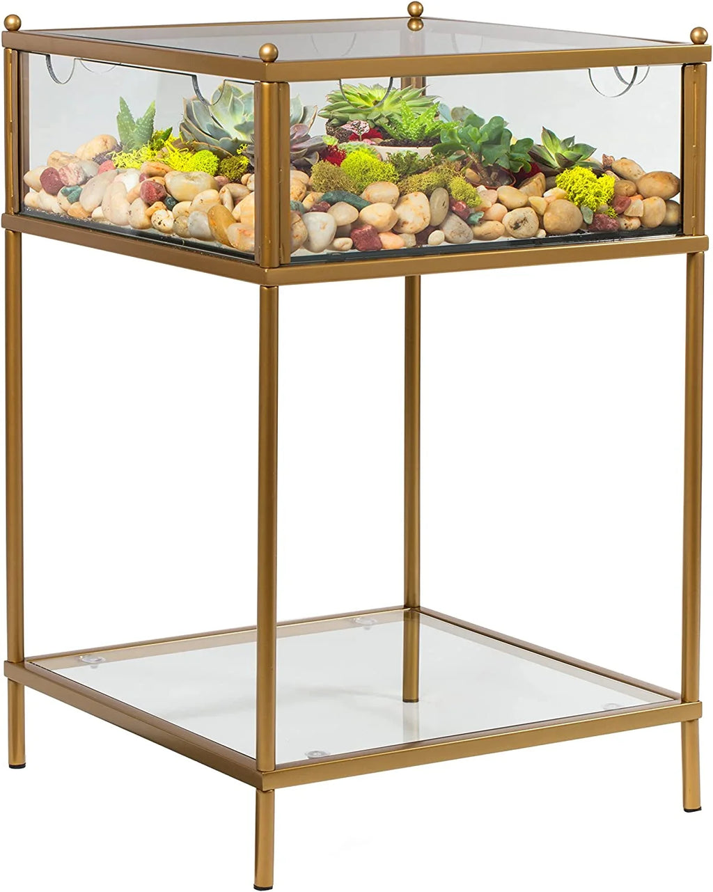 Terrarium Glass End Table 18x18x27 a7