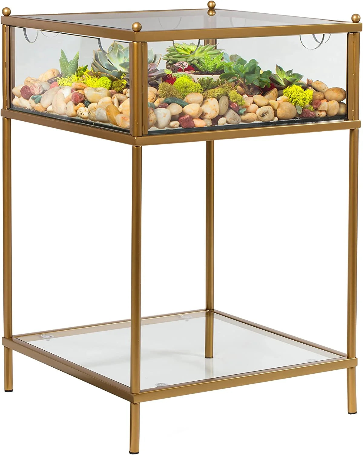 Terrarium Glass End Table 18x18x27 a7