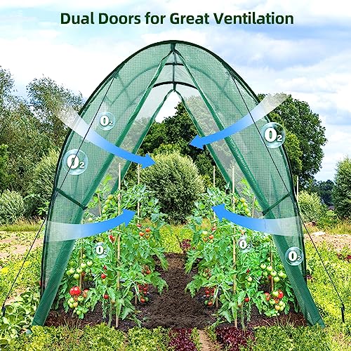 Portable Tunnel Greenhouse Outdoor Heavy Duty Walk in Green House with Mesh Windows 7k