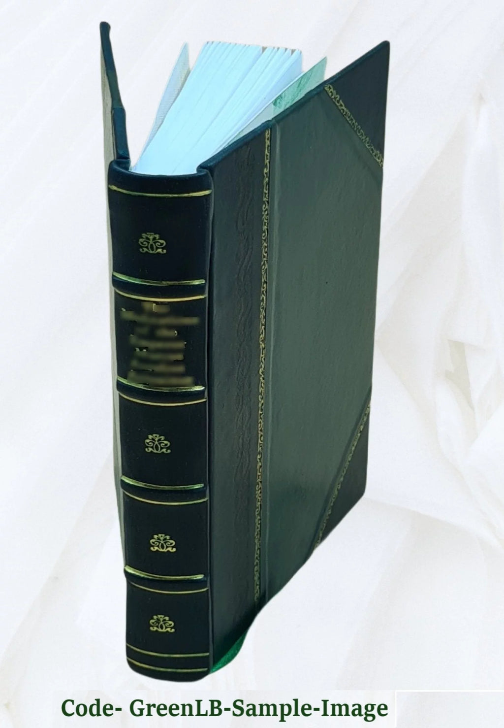 The International Jewish Cook Book by Florence Kreisler Greenbaum I1724