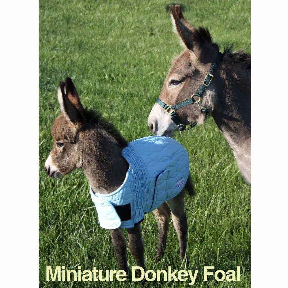 Foal Saver Lightweight Support k7m