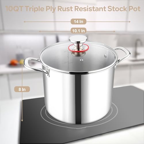 LIANYU 10 Quart Stock Pot with Lid, Stainless Steel Tri-Ply D8155