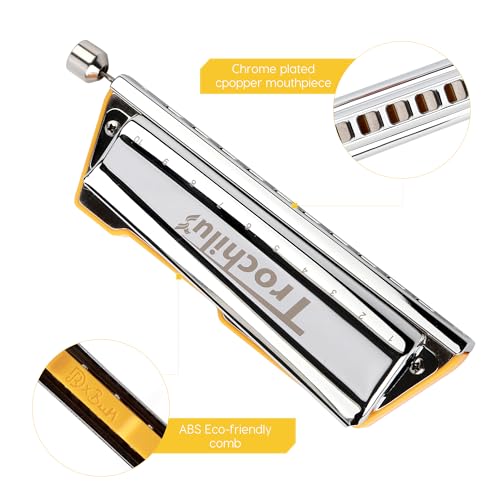 JDR Trochilus 10 Holes Chromatic Harmonica Key of Bb with Case Y291