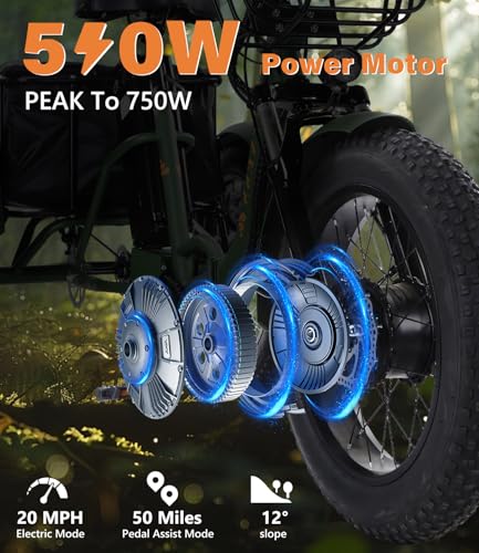 Electric Tricycle 3 Wheel Bike for Adults a7