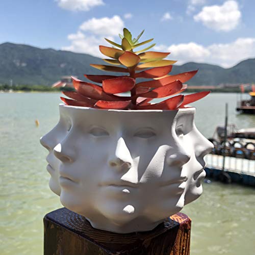 Succulent Planter Vase for Indoor Cactus Pot k7m