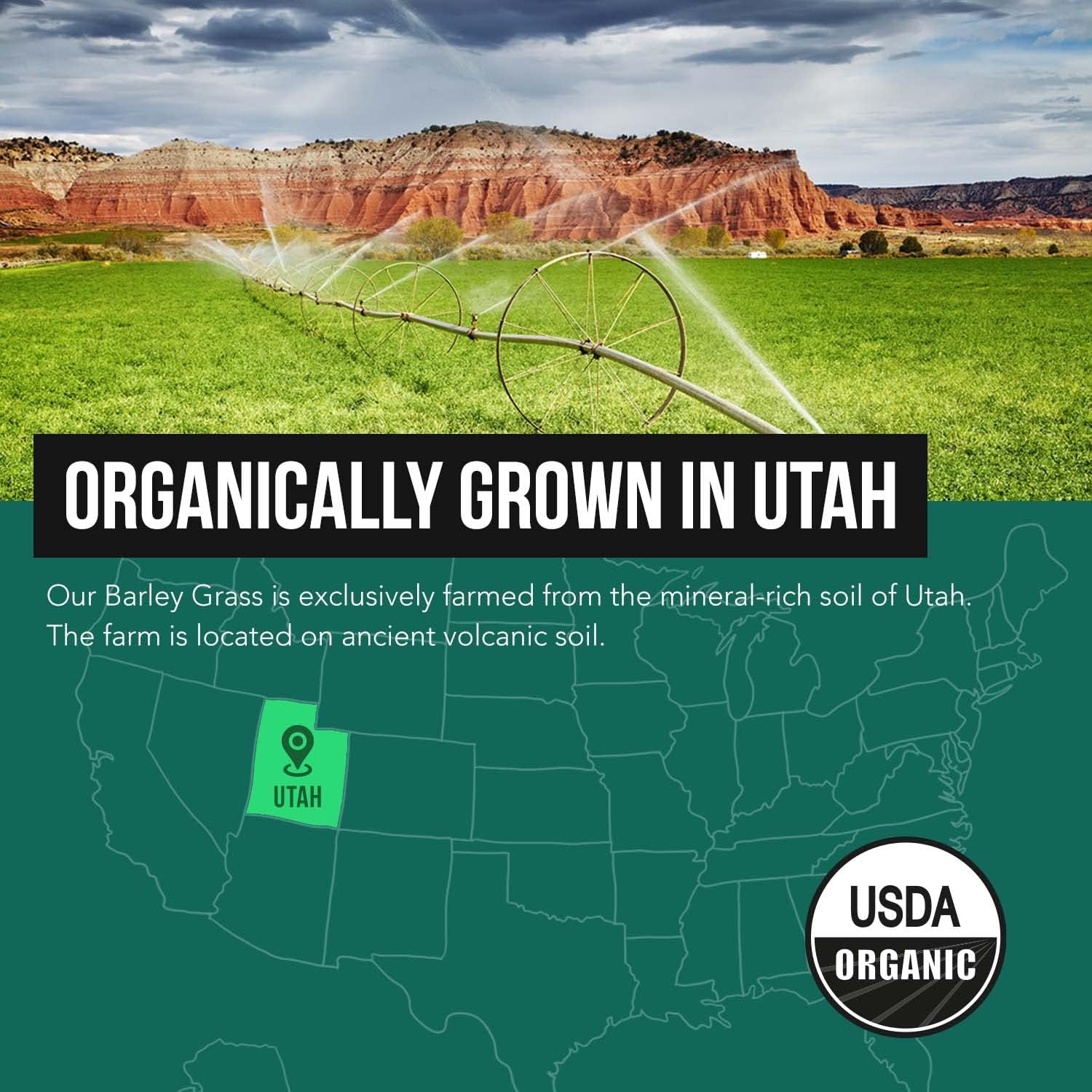 Organic Barley Grass Juice Powder Cold-Pressed CO2 Dried Gluten Free Vegan 5.3 oz k7