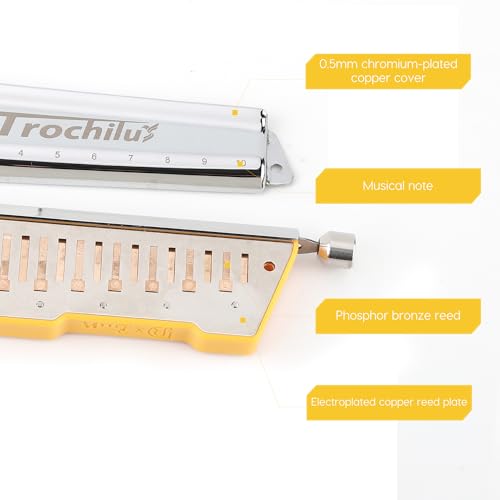 JDR Trochilus 10 Holes Chromatic Harmonica Key of Bb with Case Y291
