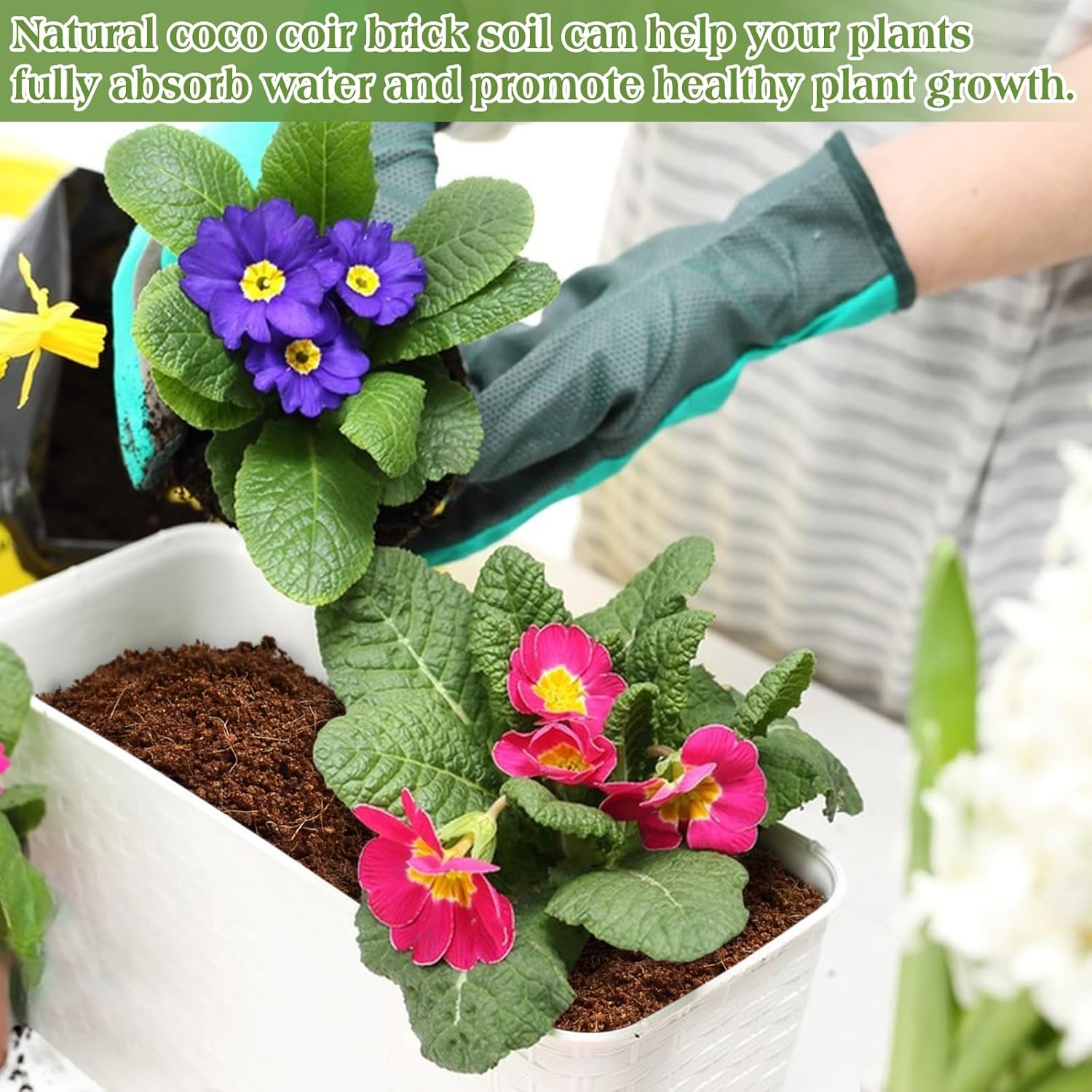 Coconut Coir Brick for Plants Gardening a7