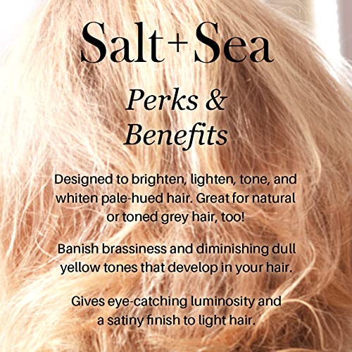 L'ANGE HAIR Sea Salt Texturizing Spray for Volume R525