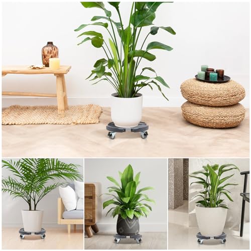 Plant Caddy with Wheels 2 Pack Heavy Duty Rolling Stand7k