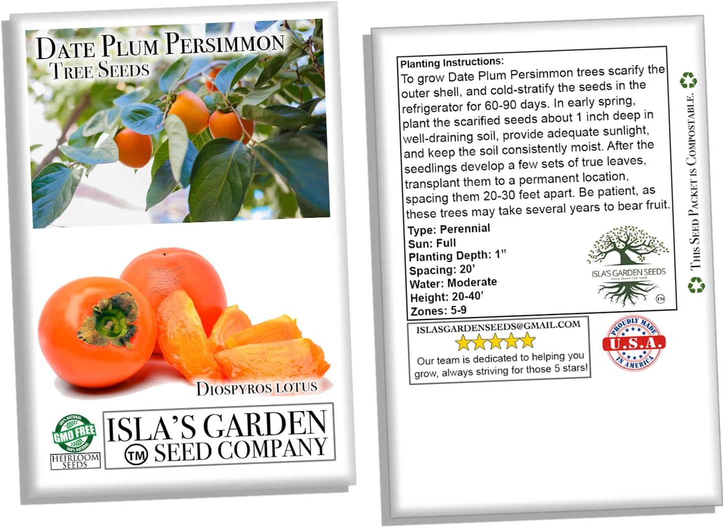 Persimmon Fruit Tree Seeds, 30+ Seeds, Non GMO Heirloom k7