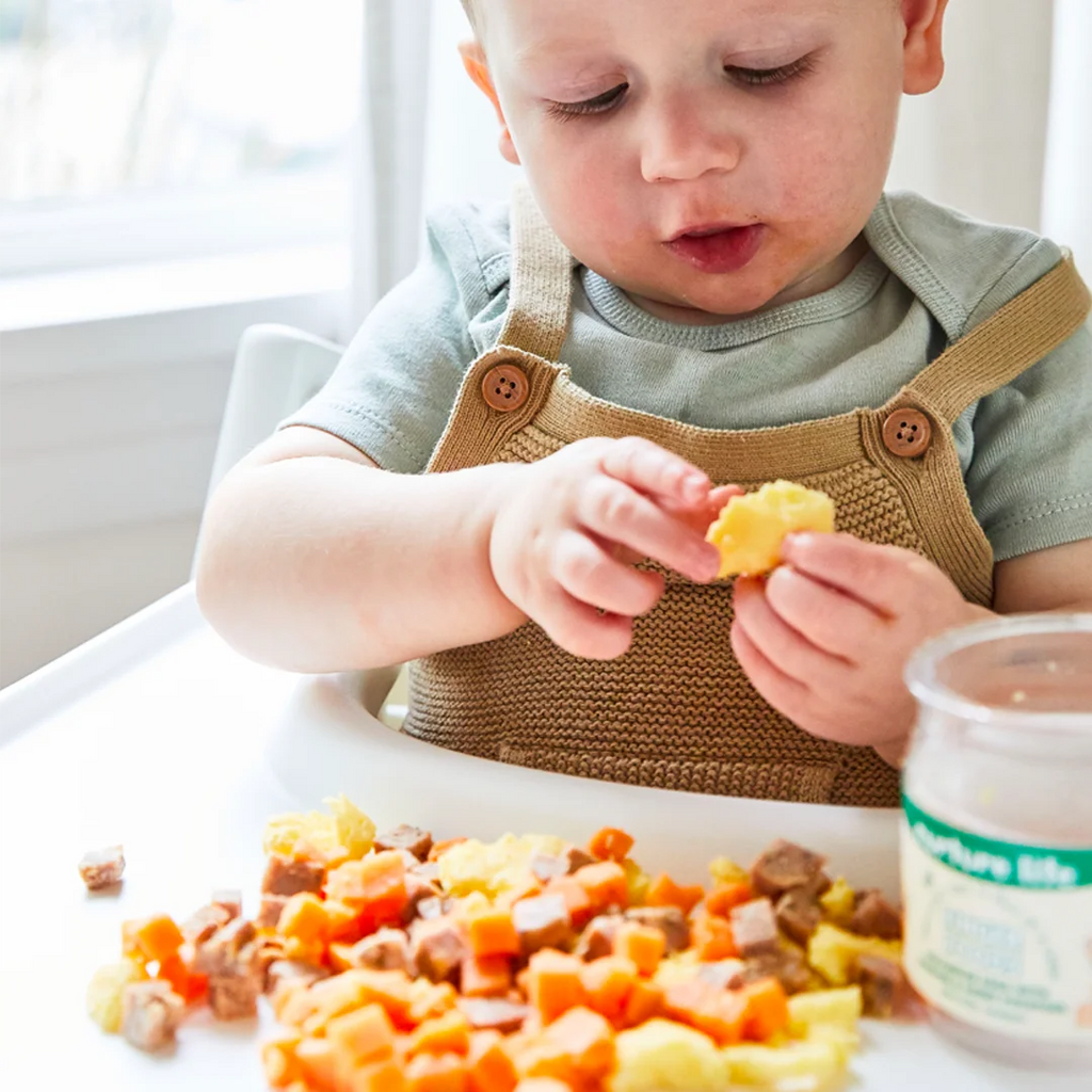 Nurture Life Baby Stage 3 Finger Food Favorites 12-Meal Variety Pack D995581