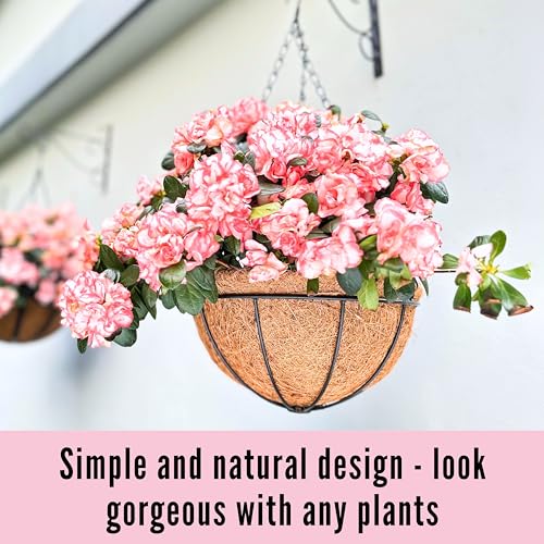 Hanging Planters with Coco Liner 3 Pack 10 Inch Outdoor Metal Wire Basket a7