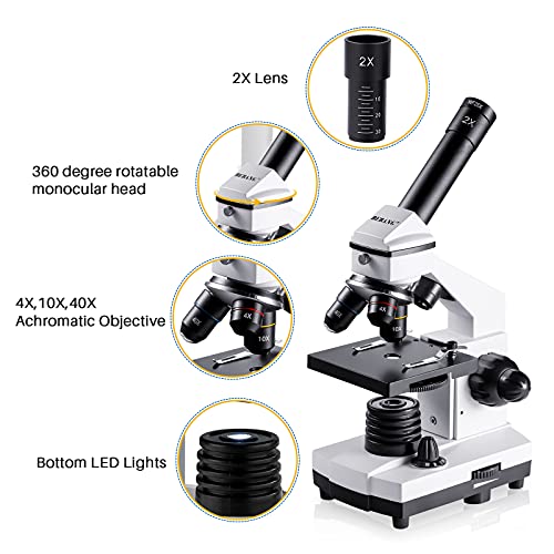 BEBANG Compound Microscope 100X-2000X for Adults Kids V42193