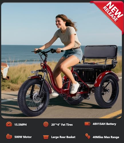 Electric Tricycle 3 Wheel Bike for Adults a7
