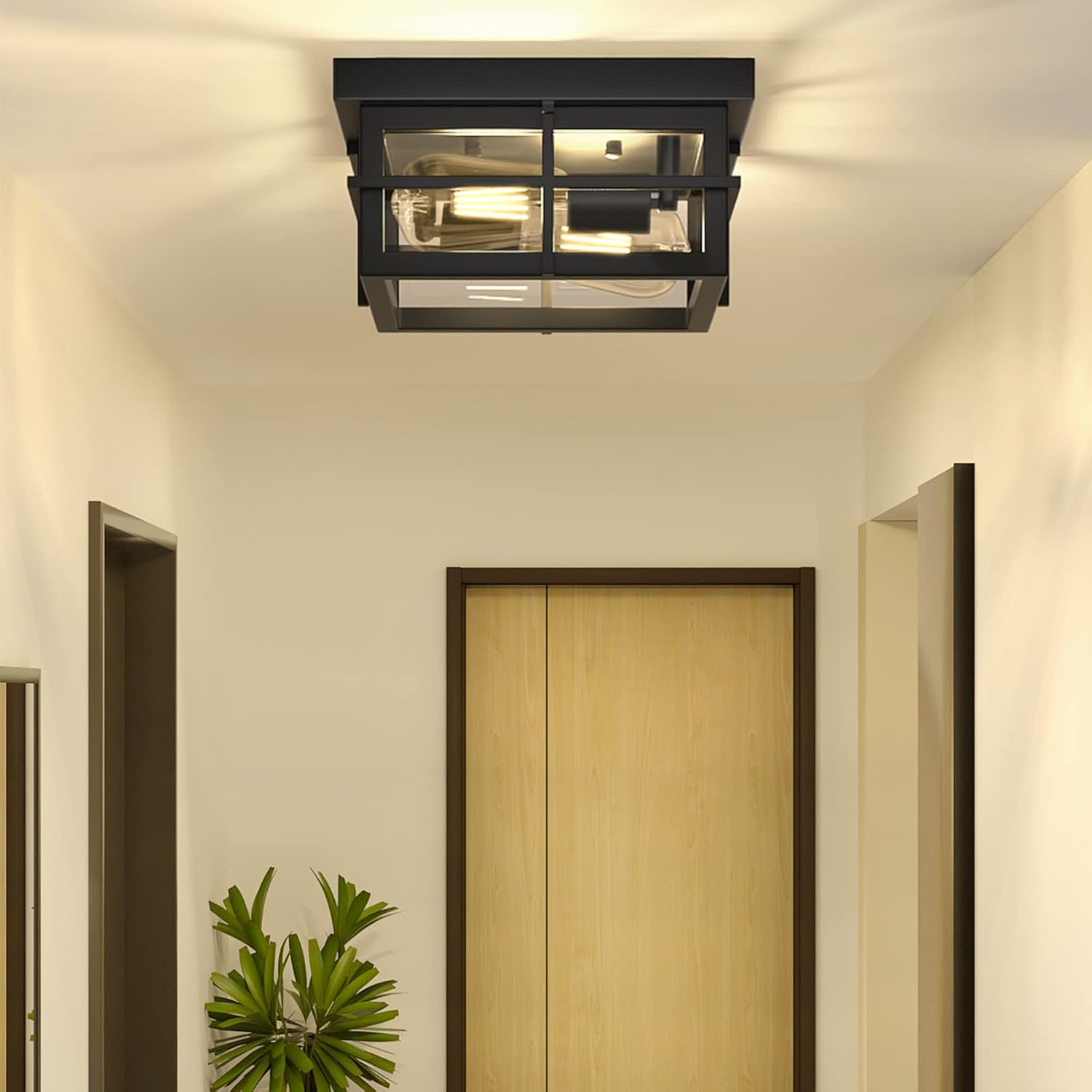 Modern Outdoor Ceiling Light 2-Light Black Flush Mount Clear Glass Shade a7