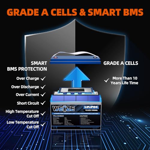 WEIZE 12V 100Ah LiFePO4 Lithium Battery with Smart BMS for RV, Solar, Marine C2217