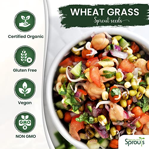 Nature Jims Sprouts Organic Wheatgrass Seeds for Sprouting, Non-GMO W25692